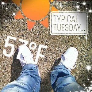 Meet your Posher, Sidney